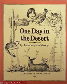 One Day in the Desert (Paperback)