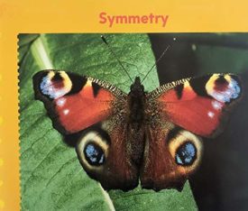 Symmetry (Paperback)