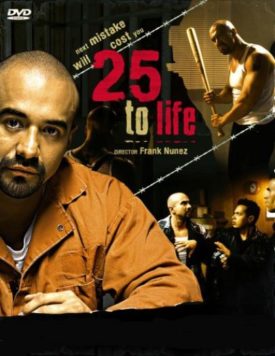 25 to Life (DVD)