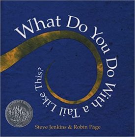 What Do You Do With a Tail Like This? (Hardcover)
