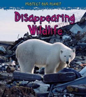 Disappearing Wildlife (Protect Our Planet) (Paperback)
