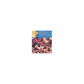 Hiding in a Coral Reef (Animal Camouflage)