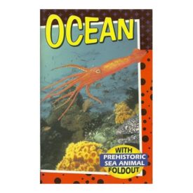 Ocean