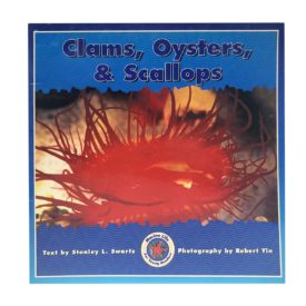 Clams, Oysters, & Scallops
