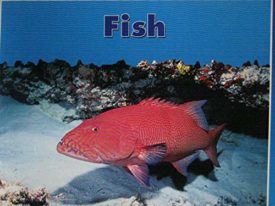 FISH PAPERBACK (Dominie Marine Life Young Readers)