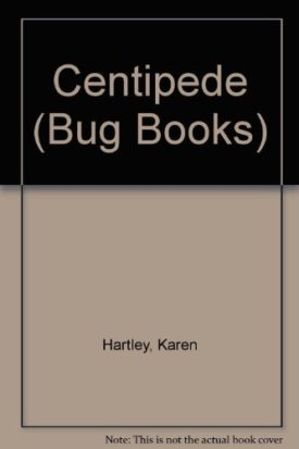Centipede (Bug Books) (Paperback)