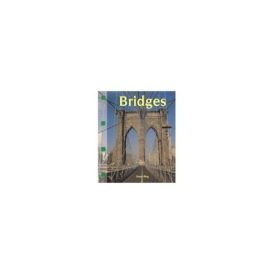 Bridges (Newbridge Discovery Links)