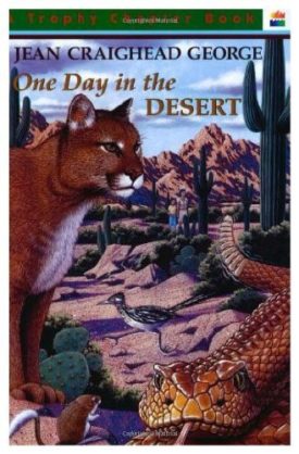 One Day in the Desert (Paperback)