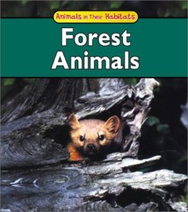 Forest Animals (Animals in Their Habitats) (Paperback)