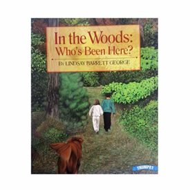 In the Woods: Whos Been Here? (Paperback)