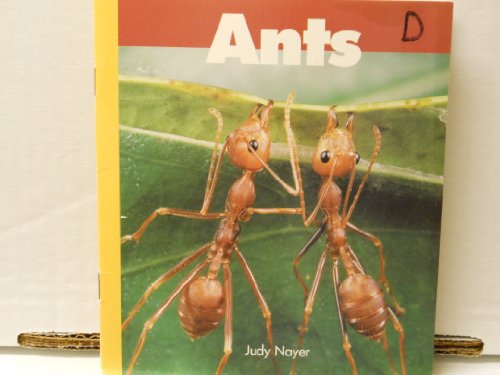 Ants (Paperback)