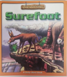SUREFOOT (DOMINIE VOCABULARY DEVELOPMENT) (Paperback)