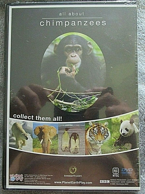All About Chipanzees (DVD) - Image 3