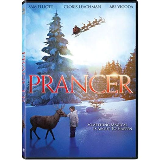 Christmas Holiday Movies DVD 4 Pack Assorted Bundle: The Dog Who Saved The Holidays, Prancer, A Christmas Story, Multi Christmas Features - Image 4