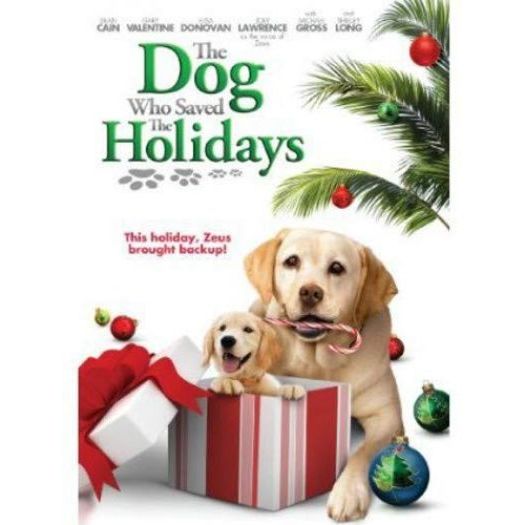 Christmas Holiday Movies DVD 4 Pack Assorted Bundle: The Dog Who Saved The Holidays, Prancer, A Christmas Story, Multi Christmas Features - Image 3