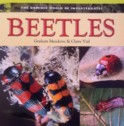 Children's Fun & Educational 4 Pack Paperback Book Bundle (Ages 6-12): Lunch Lady and the Field Trip Fiasco: Lunch Lady #6, Life in the Rain Forest: Student Book Ranger Rick Science Spectacular, Five Famous Writers Great Black Heroes, BEETLES Dominie World of Invertebrates - Image 6