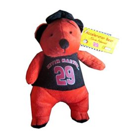Accelerator Bear Nascar Collectible Series #29 Kevin Harwick 9 Plush