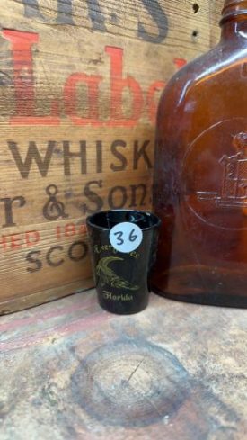Collectible Shot Glass - Everglades, Florida