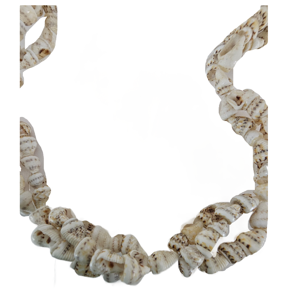Vintage Tiny Conch Sea Shell Necklace 24 Inch - Image 3